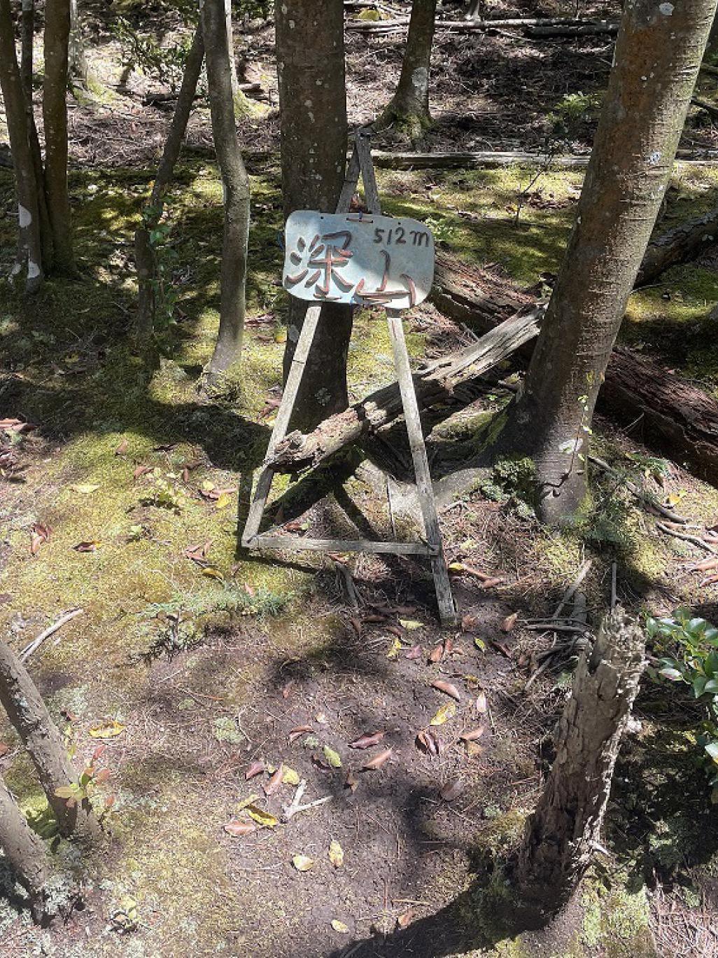 里山登山(深山)