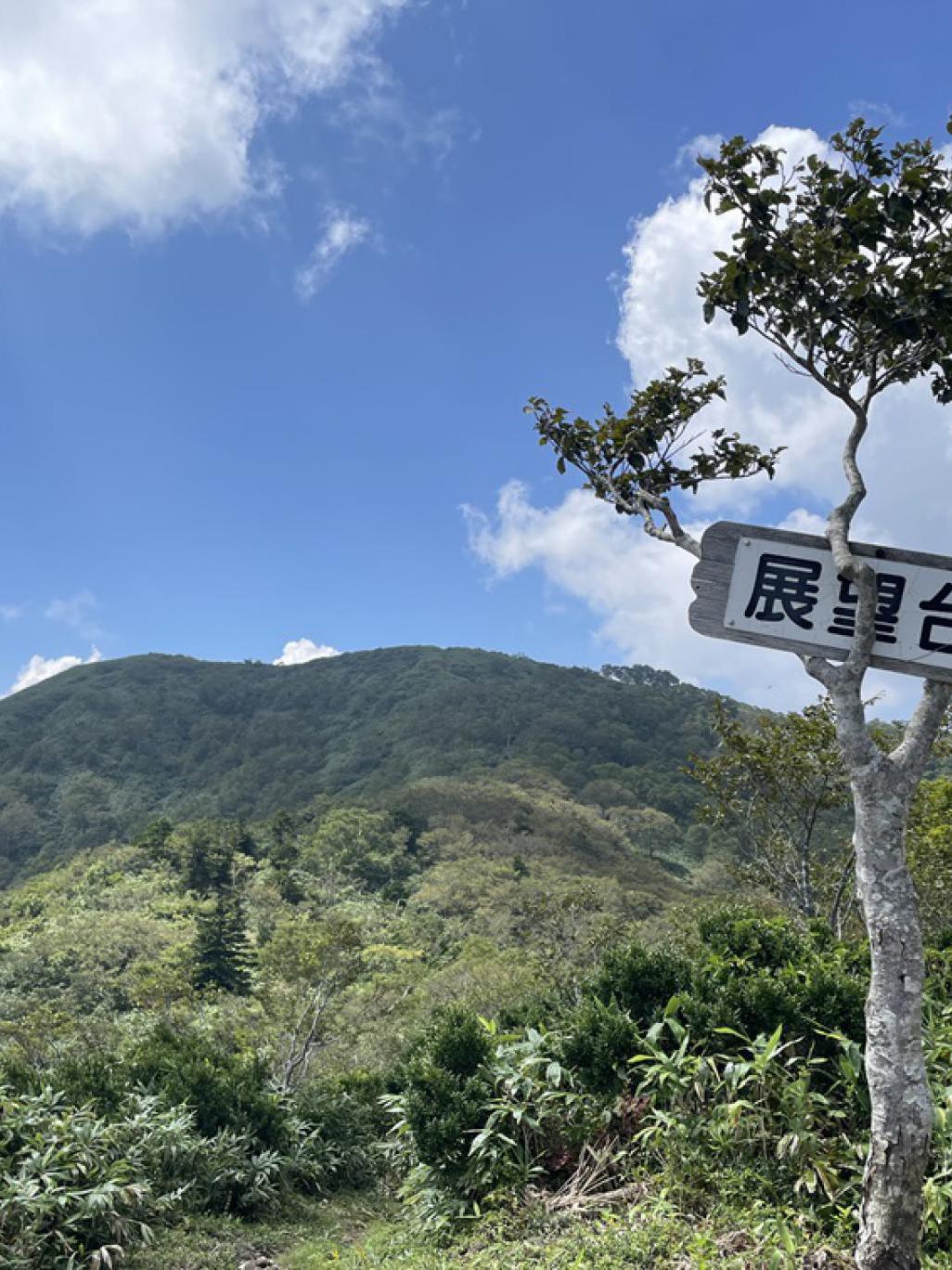 日帰り登山(大日ヶ岳)