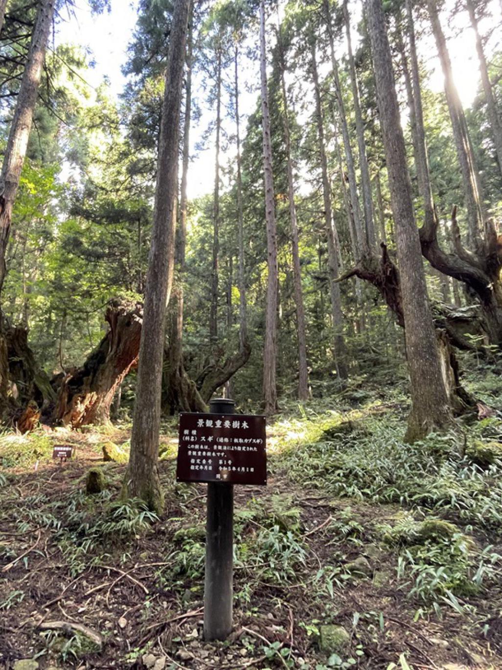 日帰り登山(蕪山)